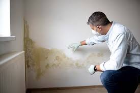 Why You Should Choose Our Mold Remediation Services in Esparto, CA